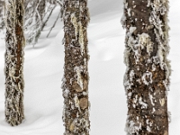 Parc national du Mont-Mégantic - Secteur de l'Observatoire